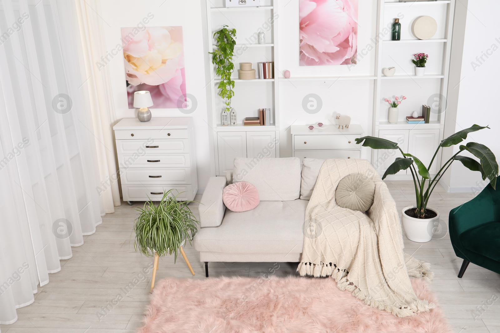 Comfortable sofa with blanket and green houseplants in living room Photo of Comfortable sofa with blanket and green houseplants in living room