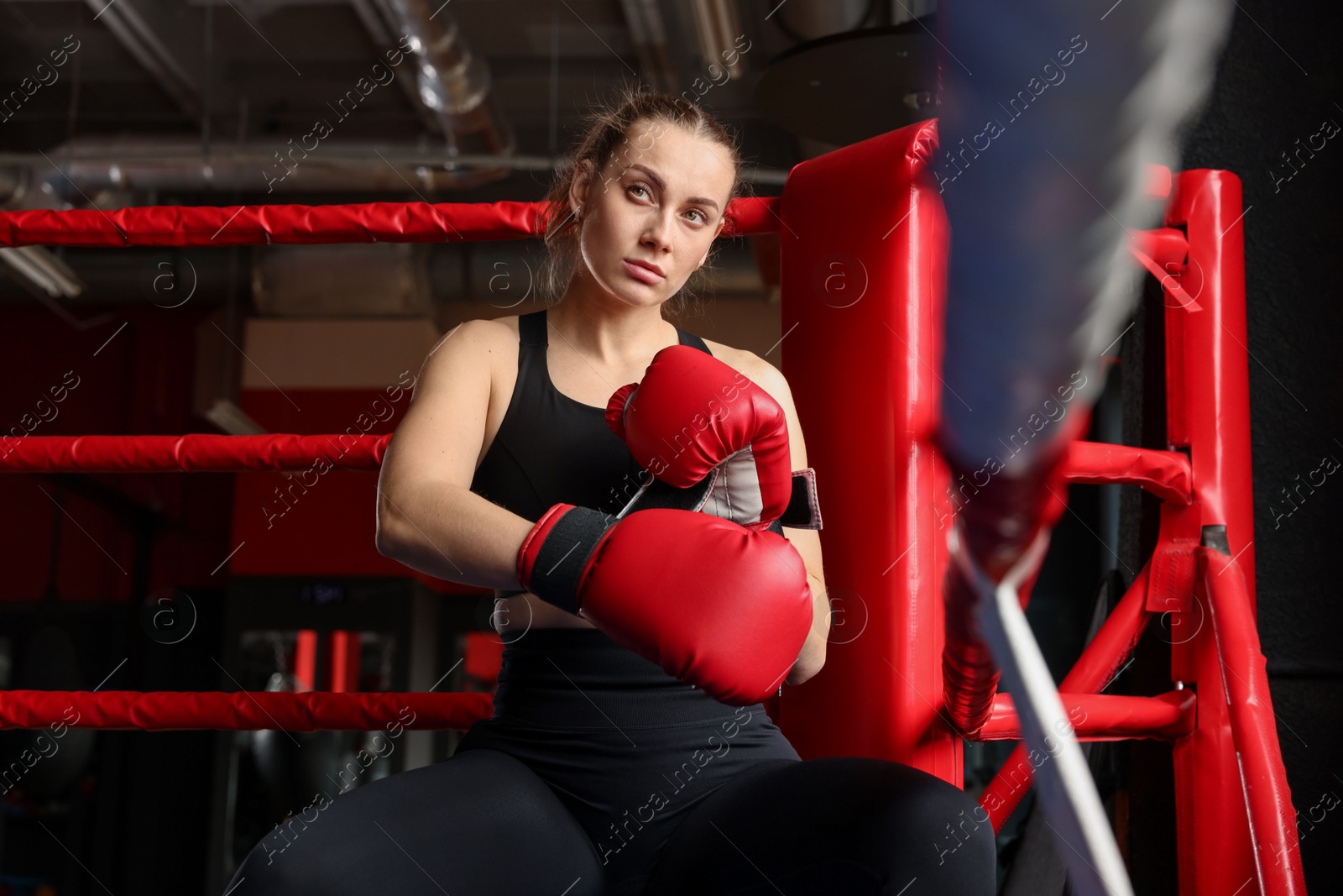 Woman sitting in her corner of boxing ring Photo of Woman sitting in her corner of boxing ring