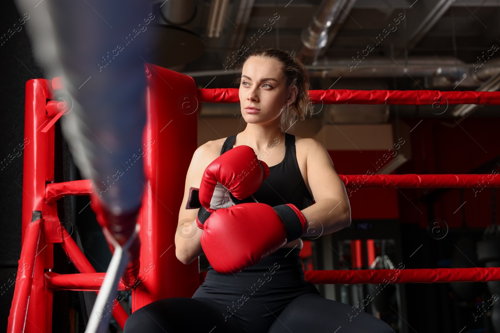 Woman sitting in her corner of boxing ring Photo of Woman sitting in her corner of boxing ring