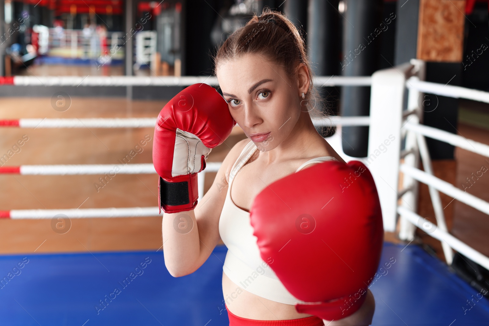 Woman with protective gloves on boxing ring Photo of Woman with protective gloves on boxing ring