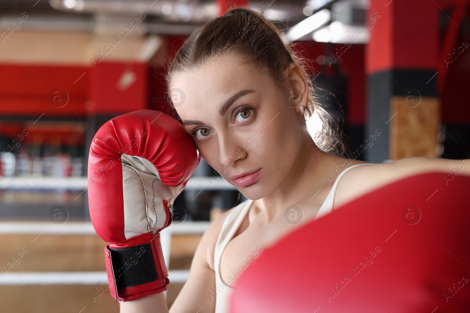 Woman with protective gloves on boxing ring Photo of Woman with protective gloves on boxing ring