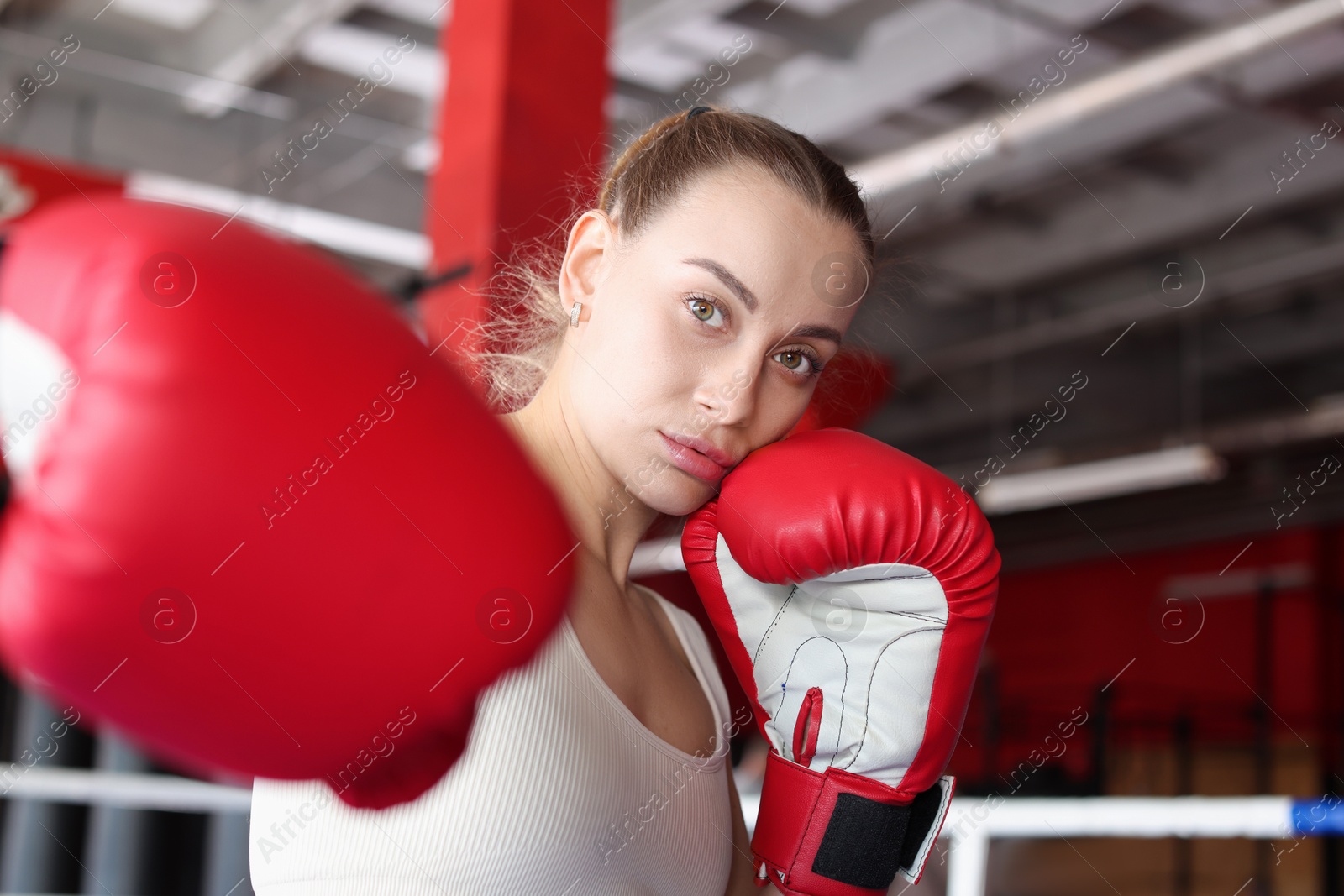 Photo of Woman with protective gloves on boxing ring