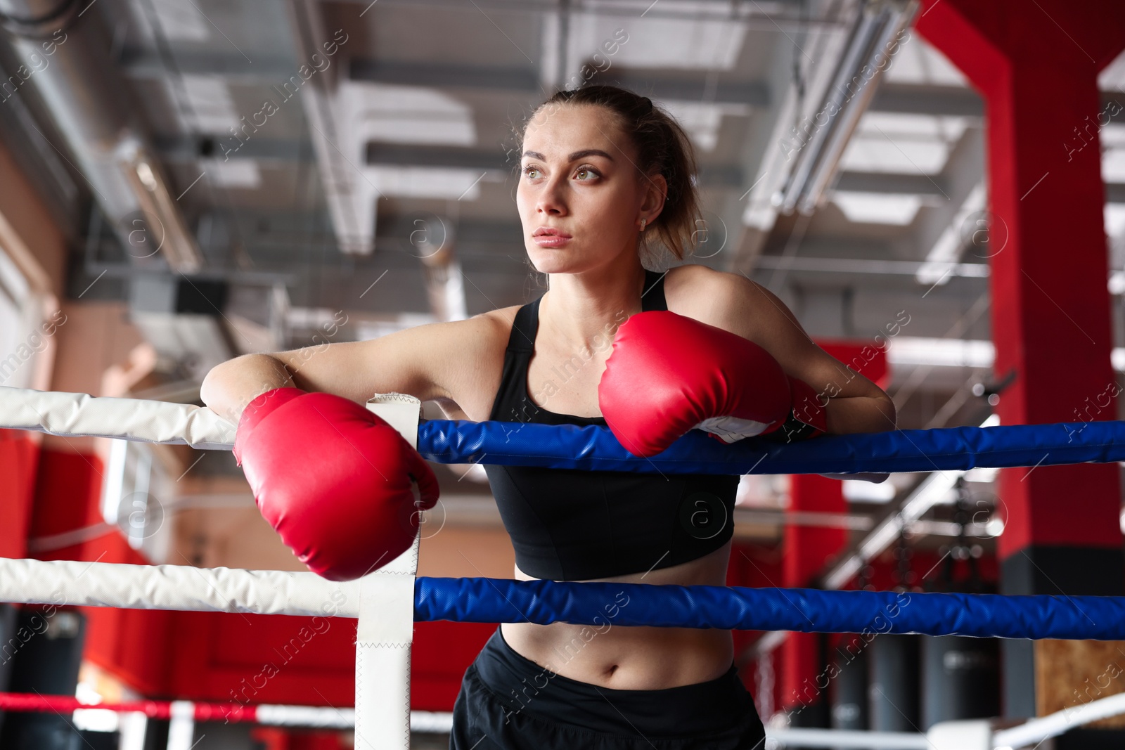 Woman with protective gloves on boxing ring Photo of Woman with protective gloves on boxing ring