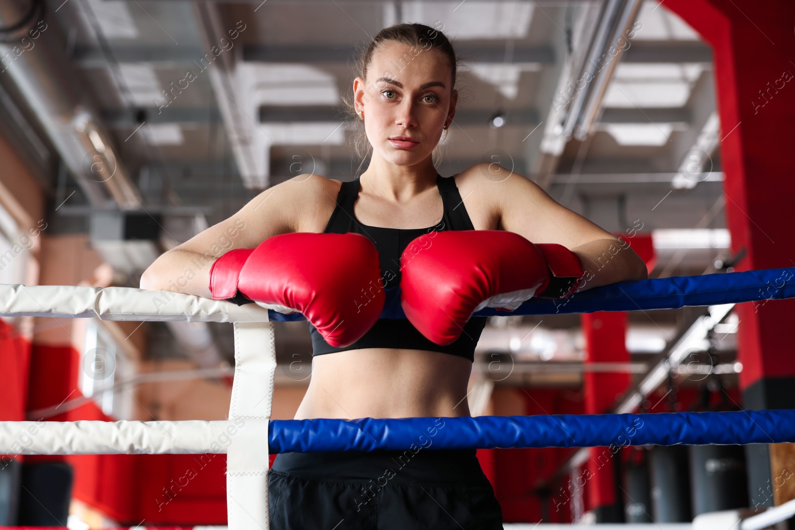 Woman with protective gloves on boxing ring Photo of Woman with protective gloves on boxing ring