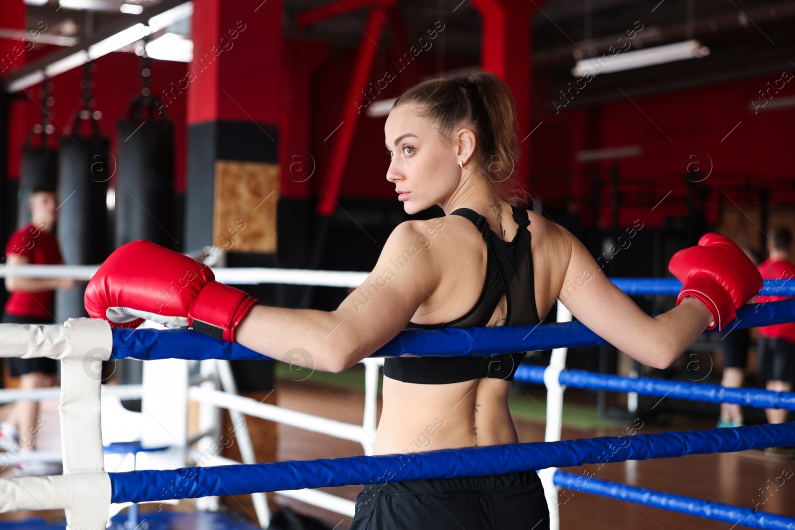 Woman with protective gloves on boxing ring, back view Photo of Woman with protective gloves on boxing ring, back view