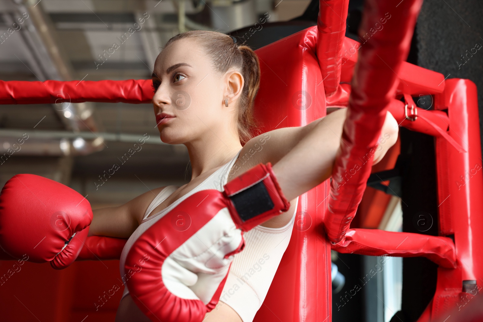 Woman sitting in her corner of boxing ring, low angle view Photo of Woman sitting in her corner of boxing ring, low angle view