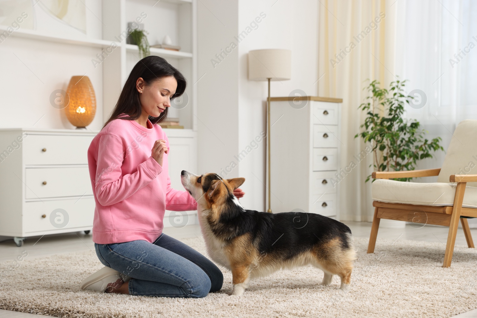 Woman training her dog on floor at home Photo of Woman training her dog on floor at home