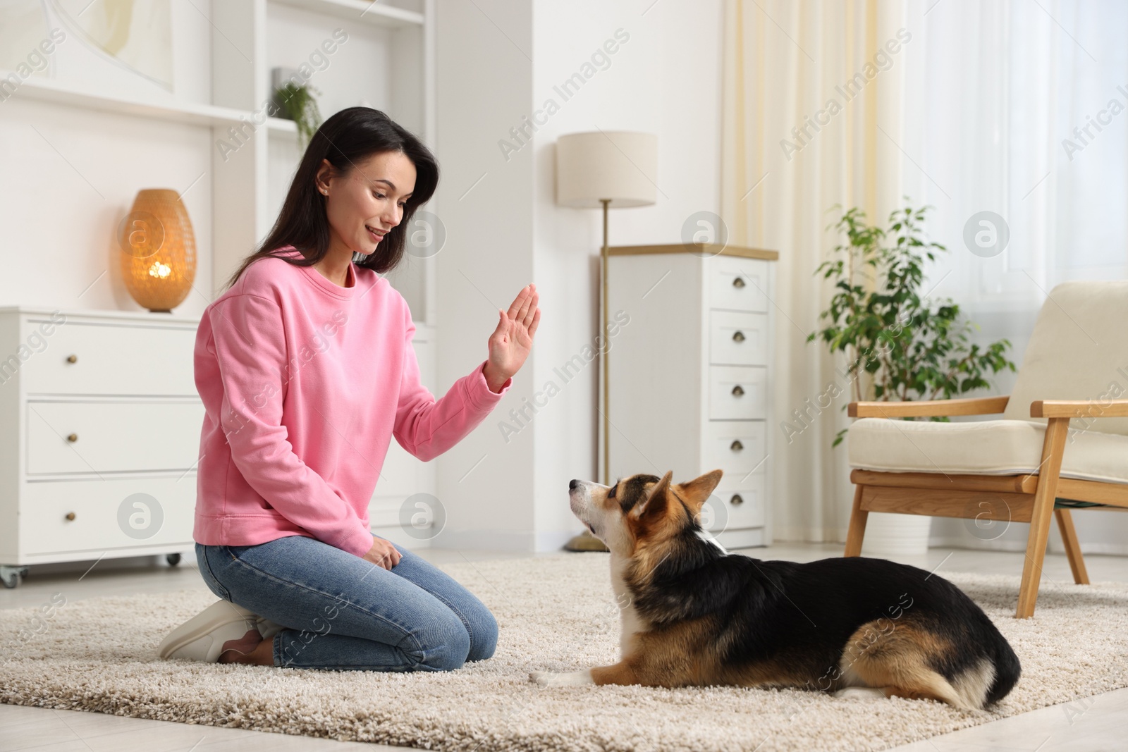 Happy woman training her dog on floor at home Photo of Happy woman training her dog on floor at home