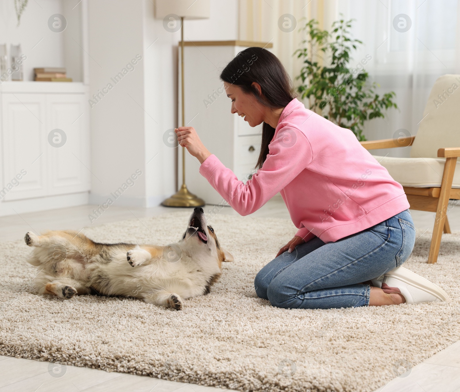Happy woman training her dog on floor at home Photo of Happy woman training her dog on floor at home