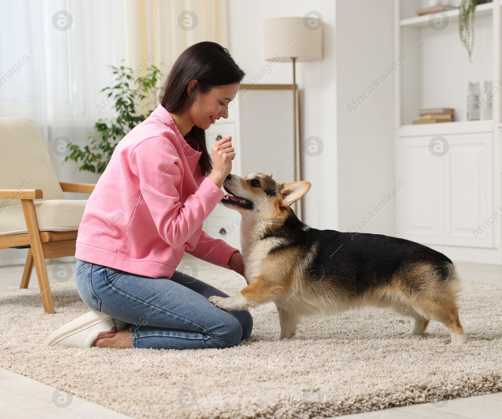 Happy woman training her dog on floor at home Photo of Happy woman training her dog on floor at home