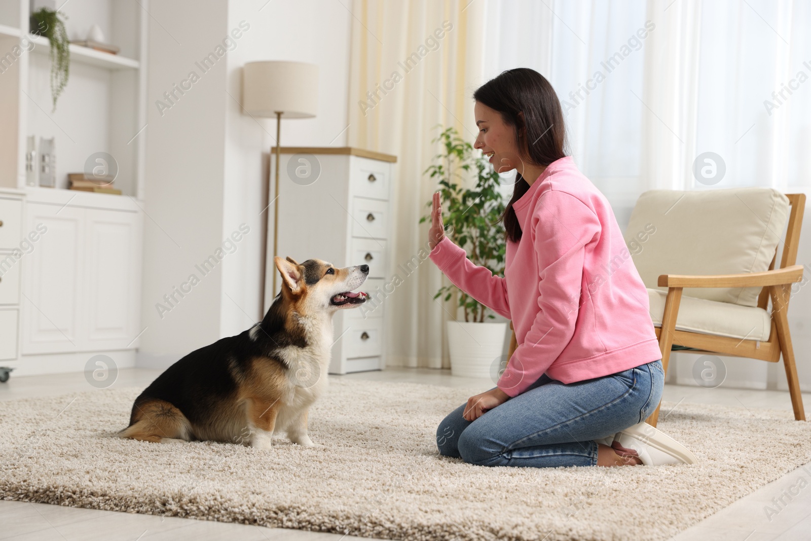 Happy woman training her dog on floor at home Photo of Happy woman training her dog on floor at home