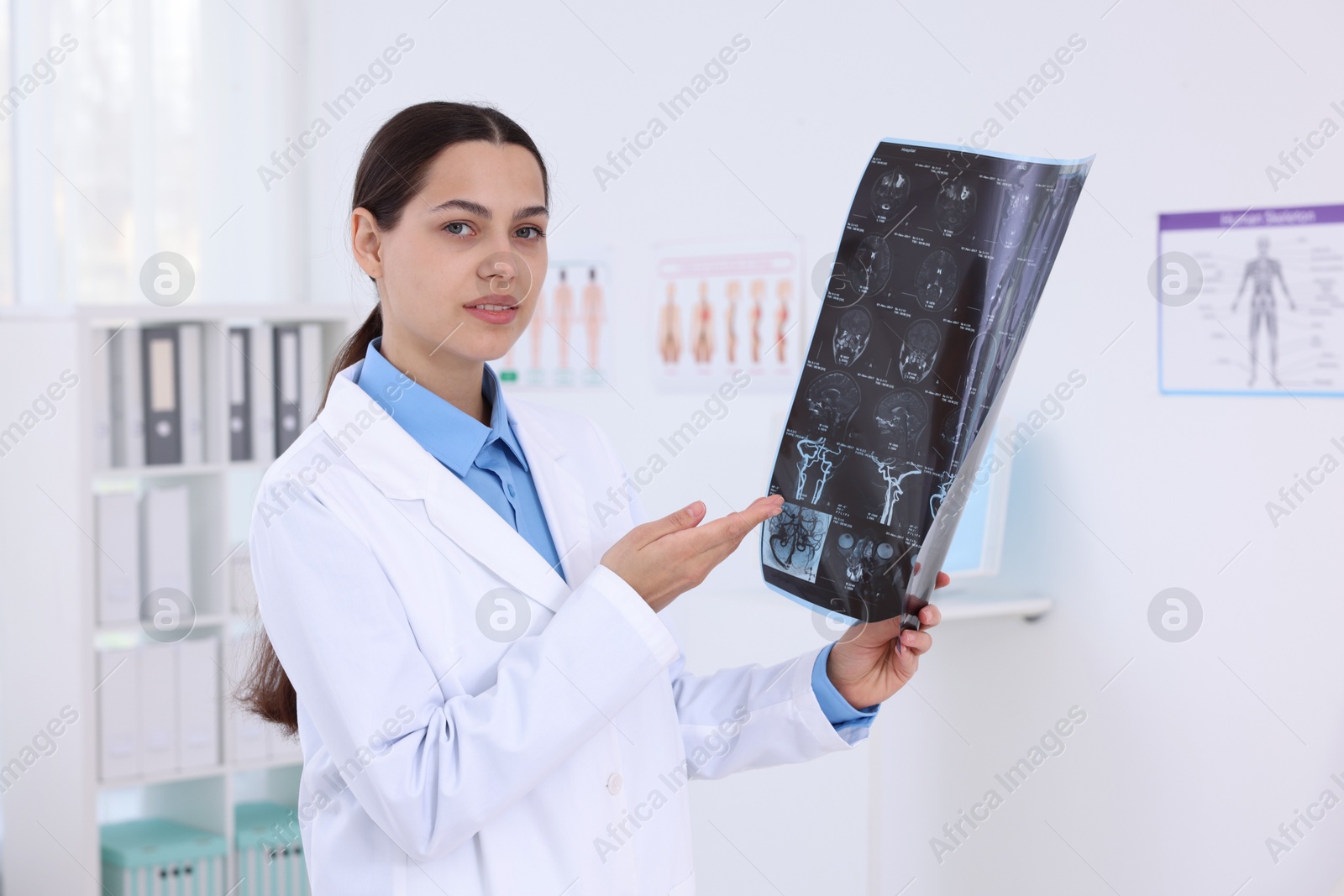 Doctor examining brain MRI scan in hospital Photo of Doctor examining brain MRI scan in hospital