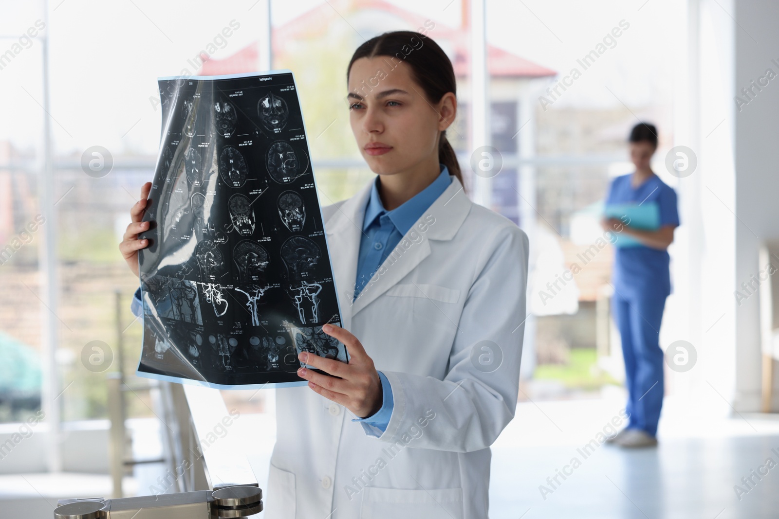 Doctor examining brain MRI scan in hospital Photo of Doctor examining brain MRI scan in hospital