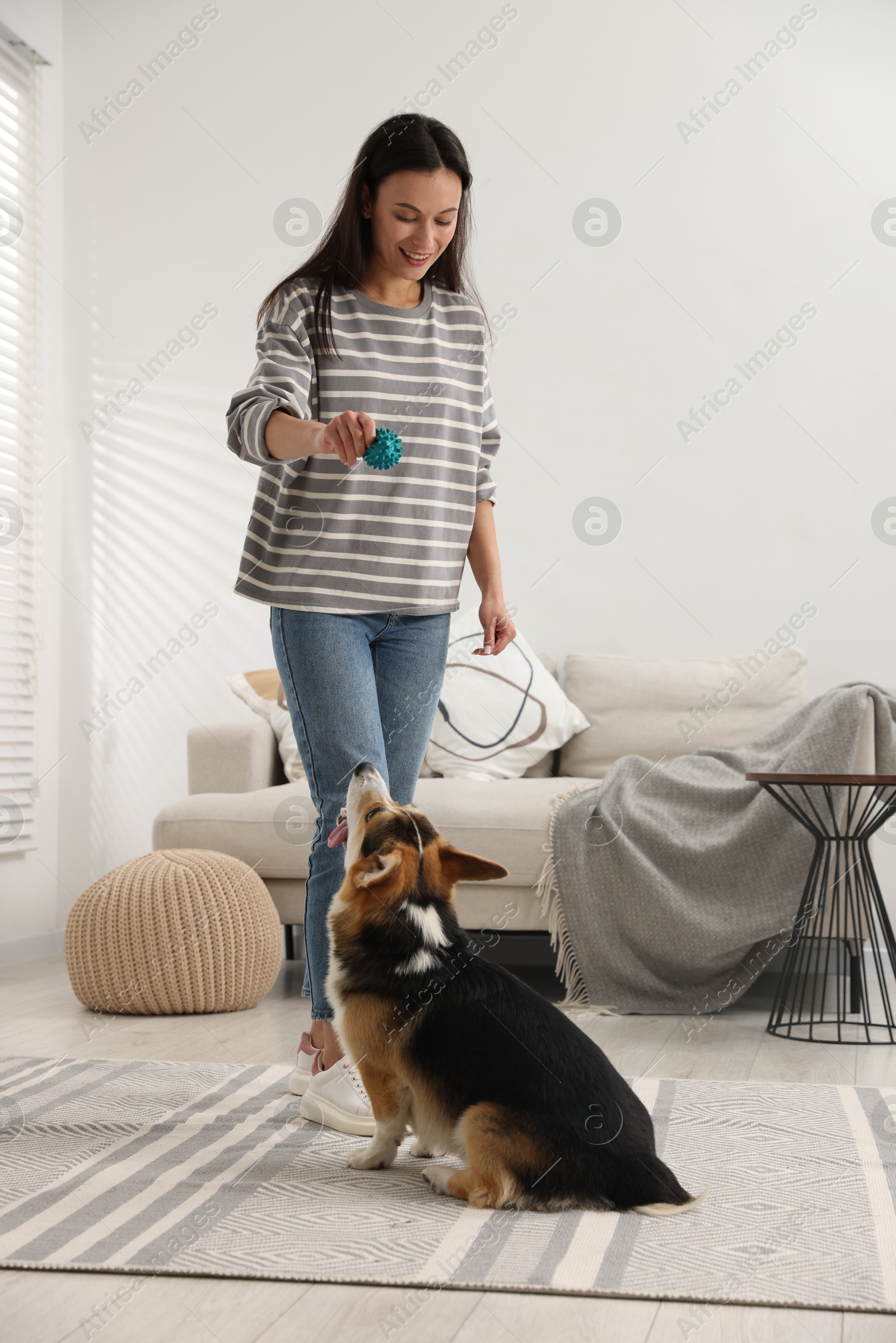 Happy woman with toy training her dog at home Photo of Happy woman with toy training her dog at home