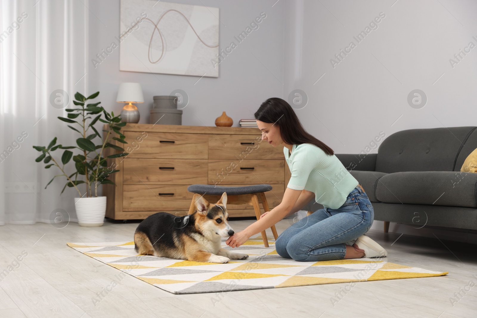 Woman training her dog on floor at home Photo of Woman training her dog on floor at home