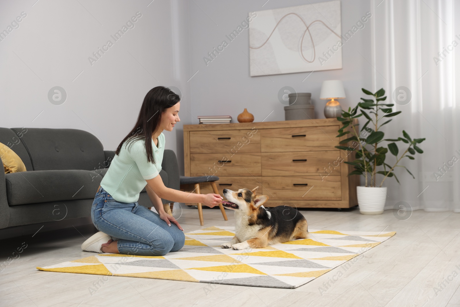 Happy woman training her dog on floor at home Photo of Happy woman training her dog on floor at home