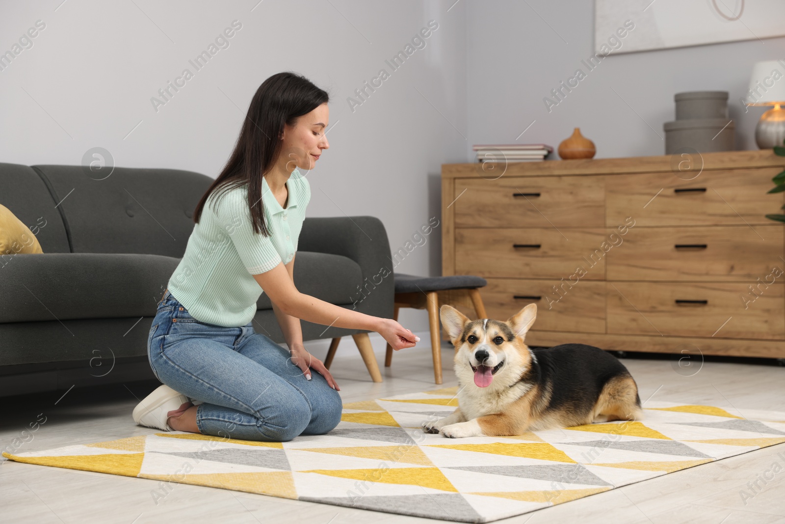 Woman training her dog on floor at home Photo of Woman training her dog on floor at home
