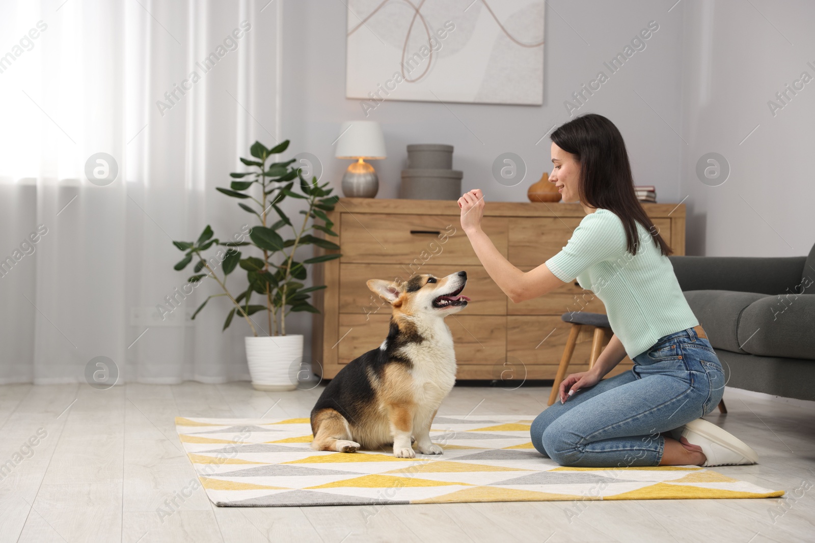 Happy woman training her dog on floor at home Photo of Happy woman training her dog on floor at home