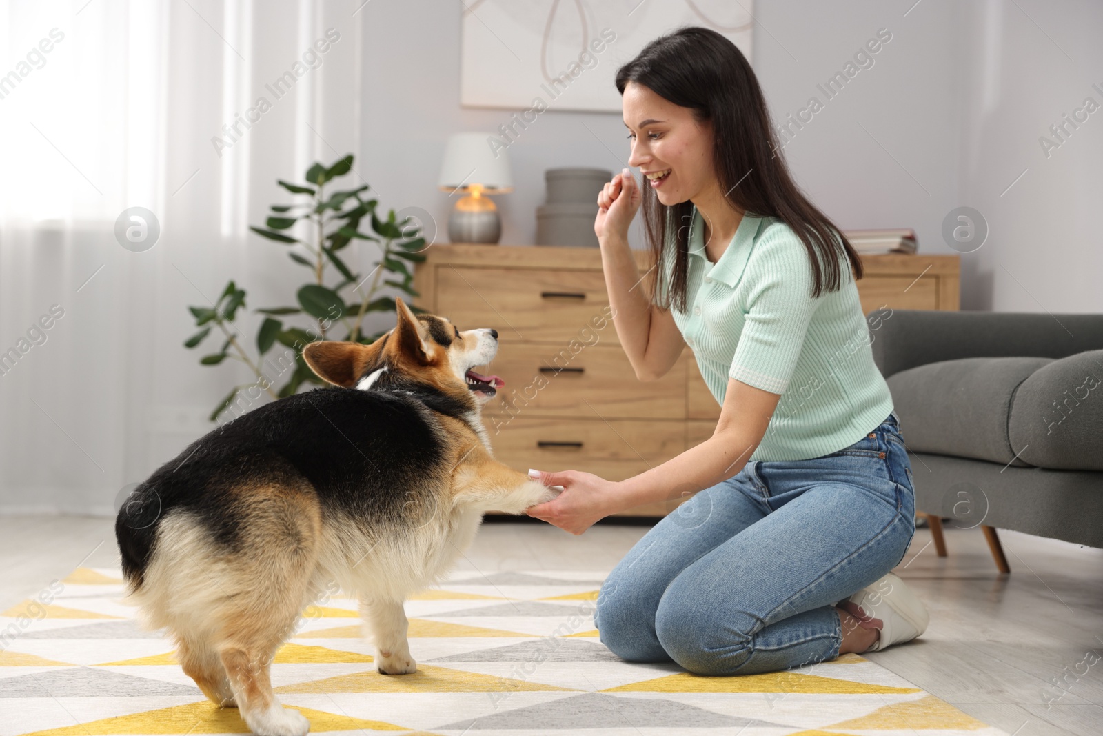 Happy woman training her dog on floor at home Photo of Happy woman training her dog on floor at home