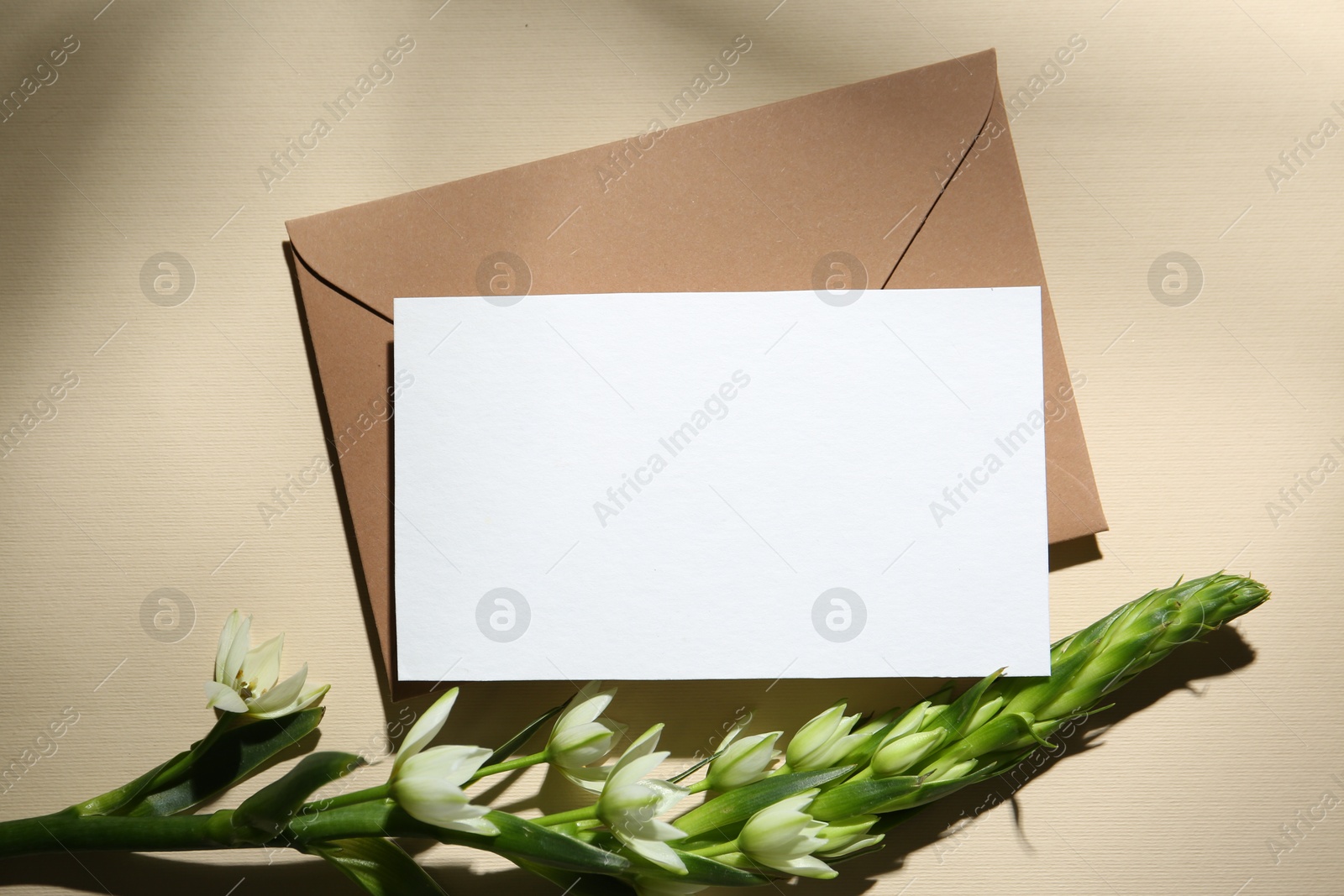 Blank greeting card, envelope and ornithogalum flower on beige background, flat lay Photo of Blank greeting card, envelope and ornithogalum flower on beige background, flat lay