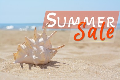 Image of Seasonal discount flyer with words Summer Sale and seashell on sand