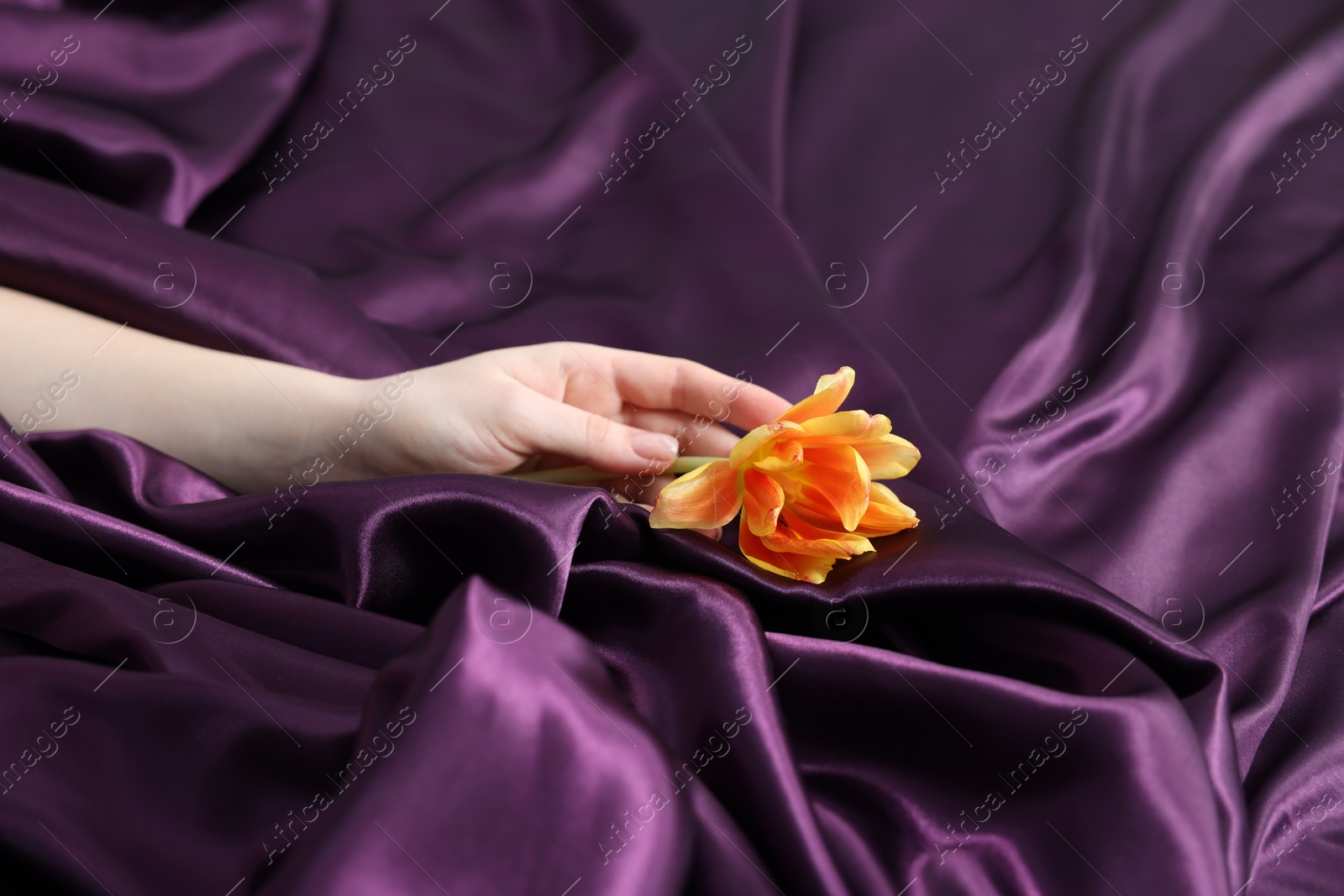 Woman with beautiful flower on bed with purple silk linens, closeup Photo of Woman with beautiful flower on bed with purple silk linens, closeup