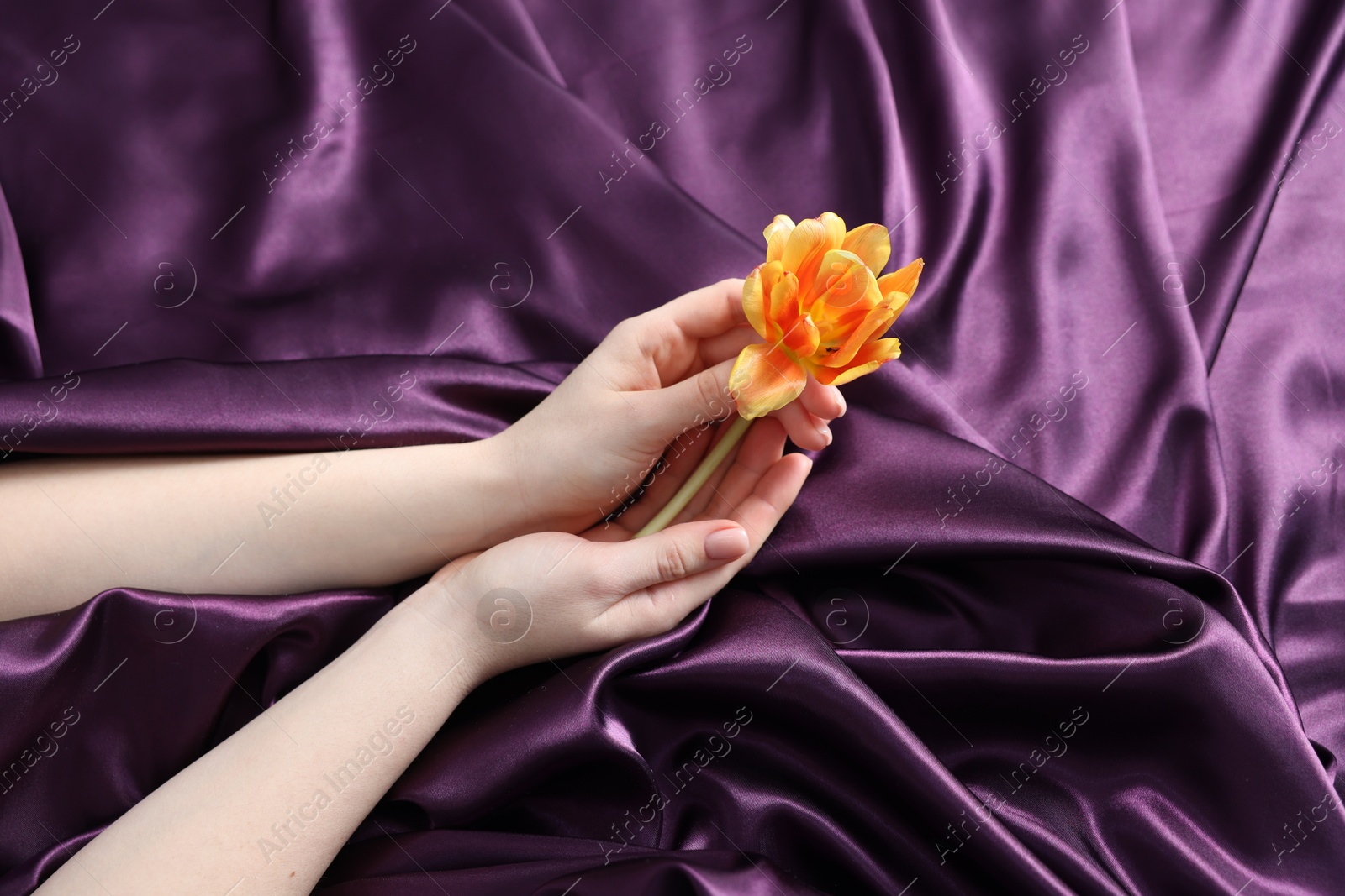 Photo of Woman with beautiful flower on bed with purple silk linens, top view