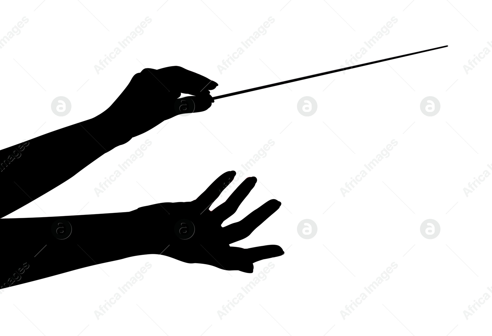 Silhouette of conductor with baton on white background, closeup Photo of Silhouette of conductor with baton on white background, closeup