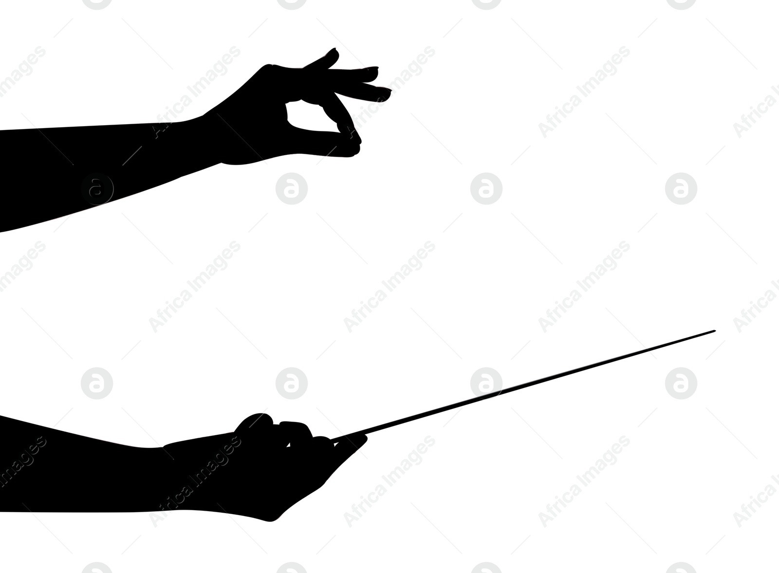 Silhouette of conductor with baton on white background, closeup Photo of Silhouette of conductor with baton on white background, closeup