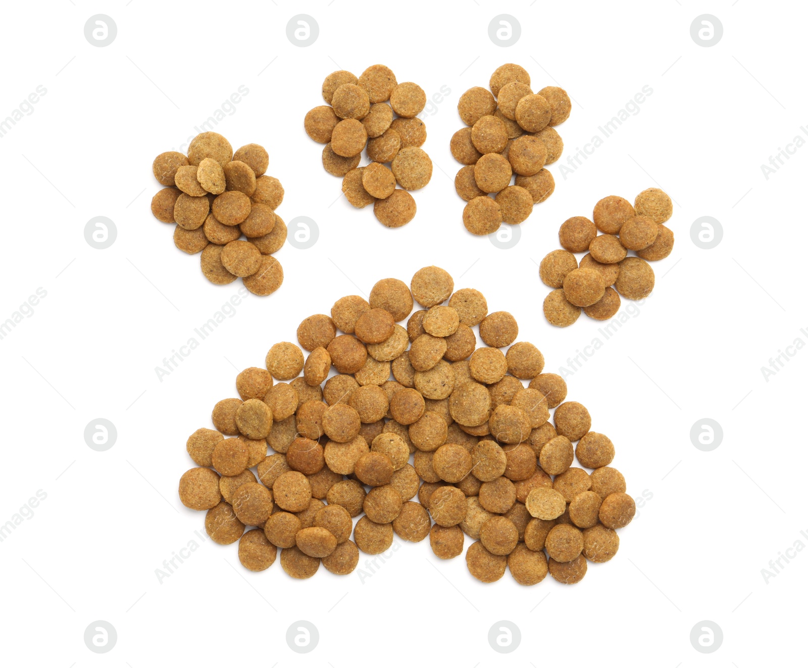 Paw made of dry pet food isolated on white, top view Photo of Paw made of dry pet food isolated on white, top view