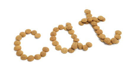 Photo of Word Cat made of dry pet food isolated on white