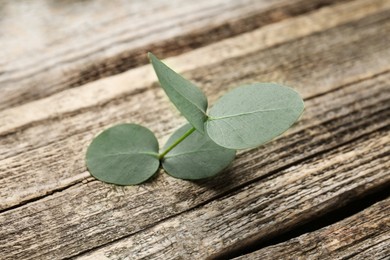 Photo of Beautiful eucalyptus branch on wooden background, closeup