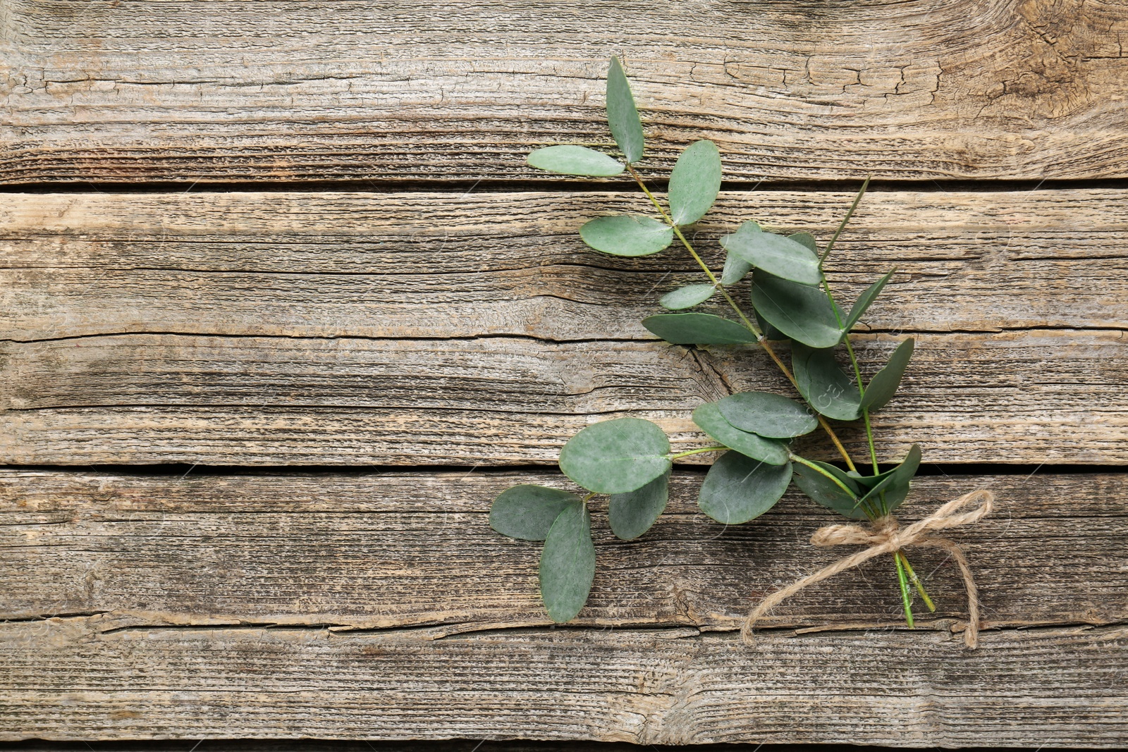 Beautiful eucalyptus branches on wooden background, top view. Space for text Photo of Beautiful eucalyptus branches on wooden background, top view. Space for text
