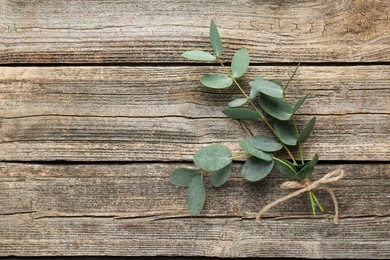 Photo of Beautiful eucalyptus branches on wooden background, top view. Space for text