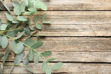 Photo of Beautiful eucalyptus branches on wooden background, top view. Space for text