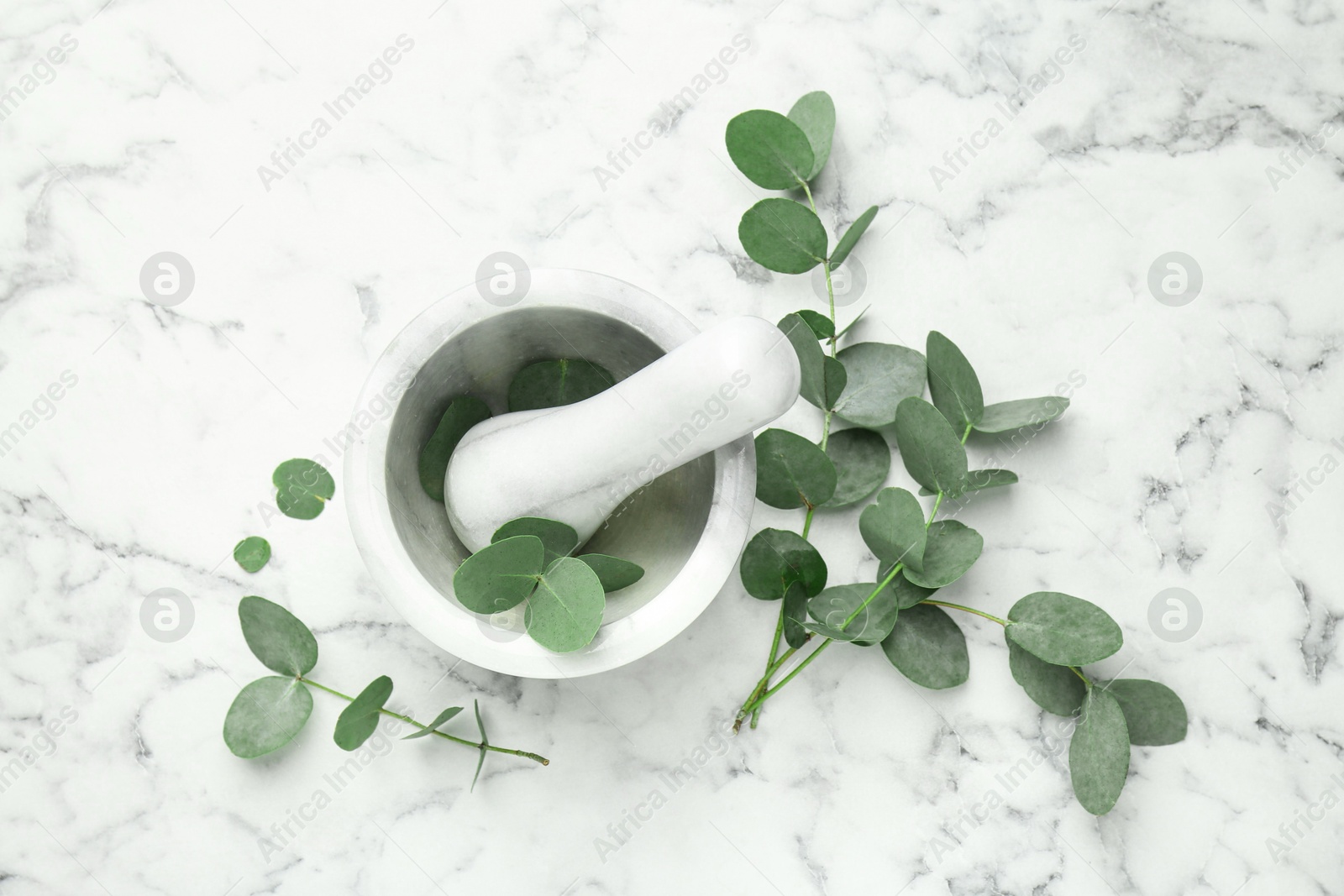 Beautiful eucalyptus branches, mortar and pestle on white marble background, top view Photo of Beautiful eucalyptus branches, mortar and pestle on white marble background, top view