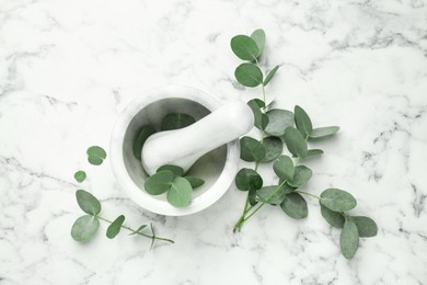 Photo of Beautiful eucalyptus branches, mortar and pestle on white marble background, top view