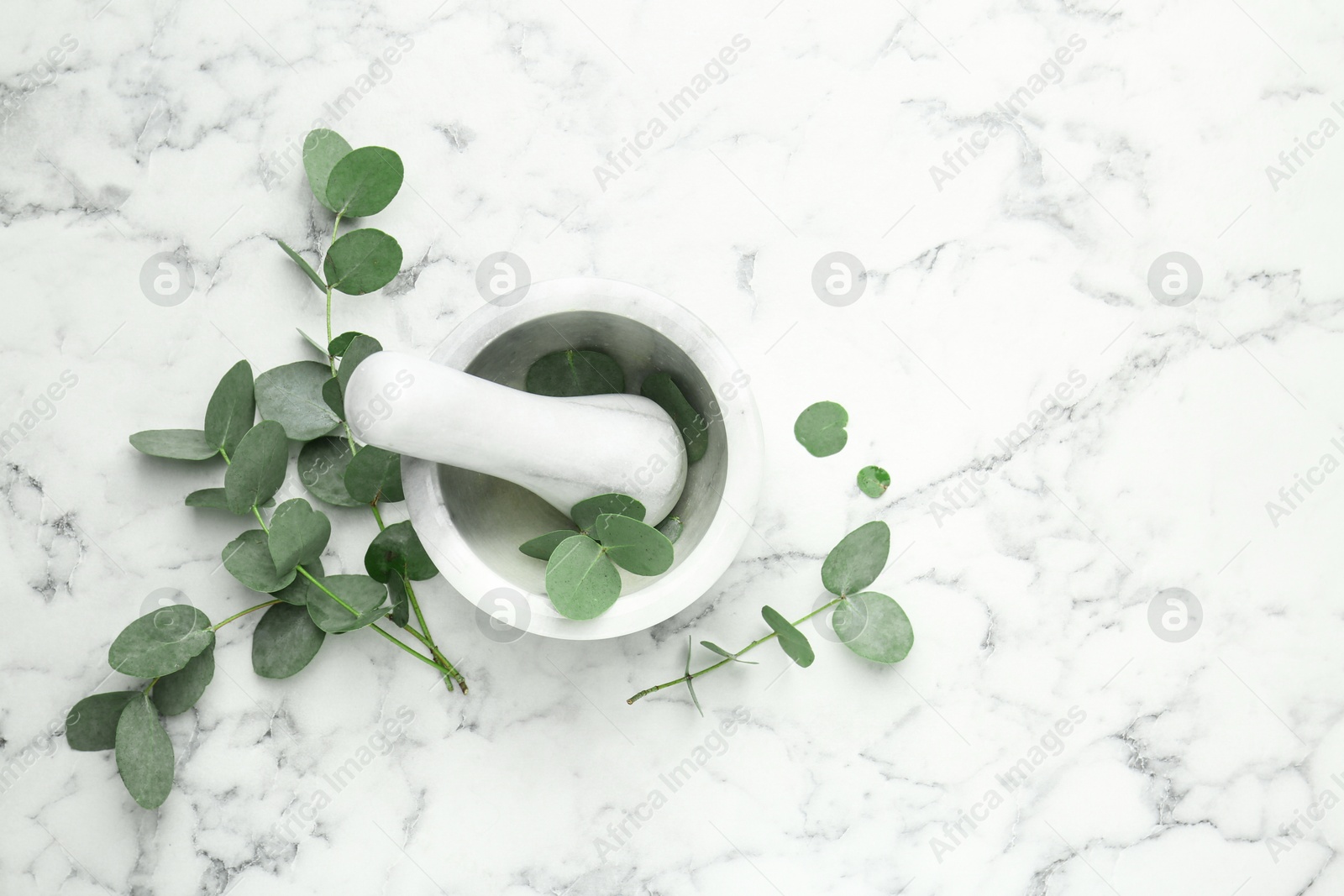 Beautiful eucalyptus branches, mortar and pestle on white marble background, top view Photo of Beautiful eucalyptus branches, mortar and pestle on white marble background, top view