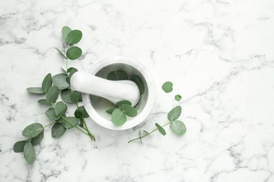 Photo of Beautiful eucalyptus branches, mortar and pestle on white marble background, top view