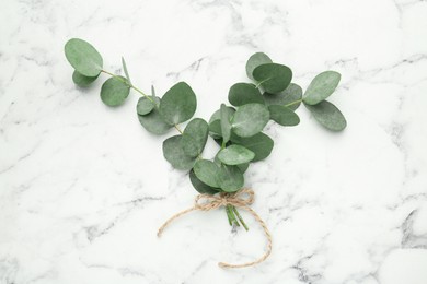 Photo of Beautiful eucalyptus branches on white marble background, top view