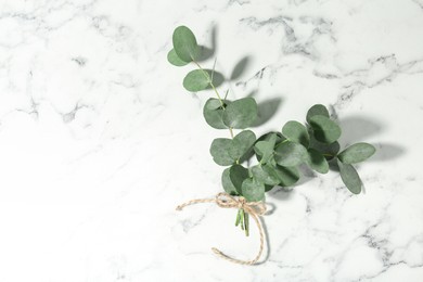 Photo of Beautiful eucalyptus branches on white marble background, top view. Space for text