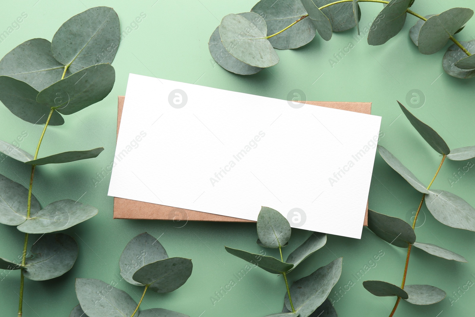 Blank card and eucalyptus branches on light green background, flat lay Photo of Blank card and eucalyptus branches on light green background, flat lay