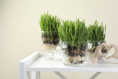 Photo of Wheat grass in transparent pots and decor on white shelf against beige background