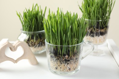 Photo of Wheat grass in transparent pots and decor on white shelf against beige background, closeup