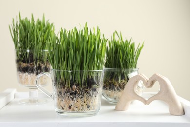 Photo of Wheat grass in transparent pots and decor on white shelf against beige background