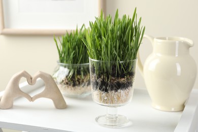 Photo of Wheat grass in transparent pots and decor indoors