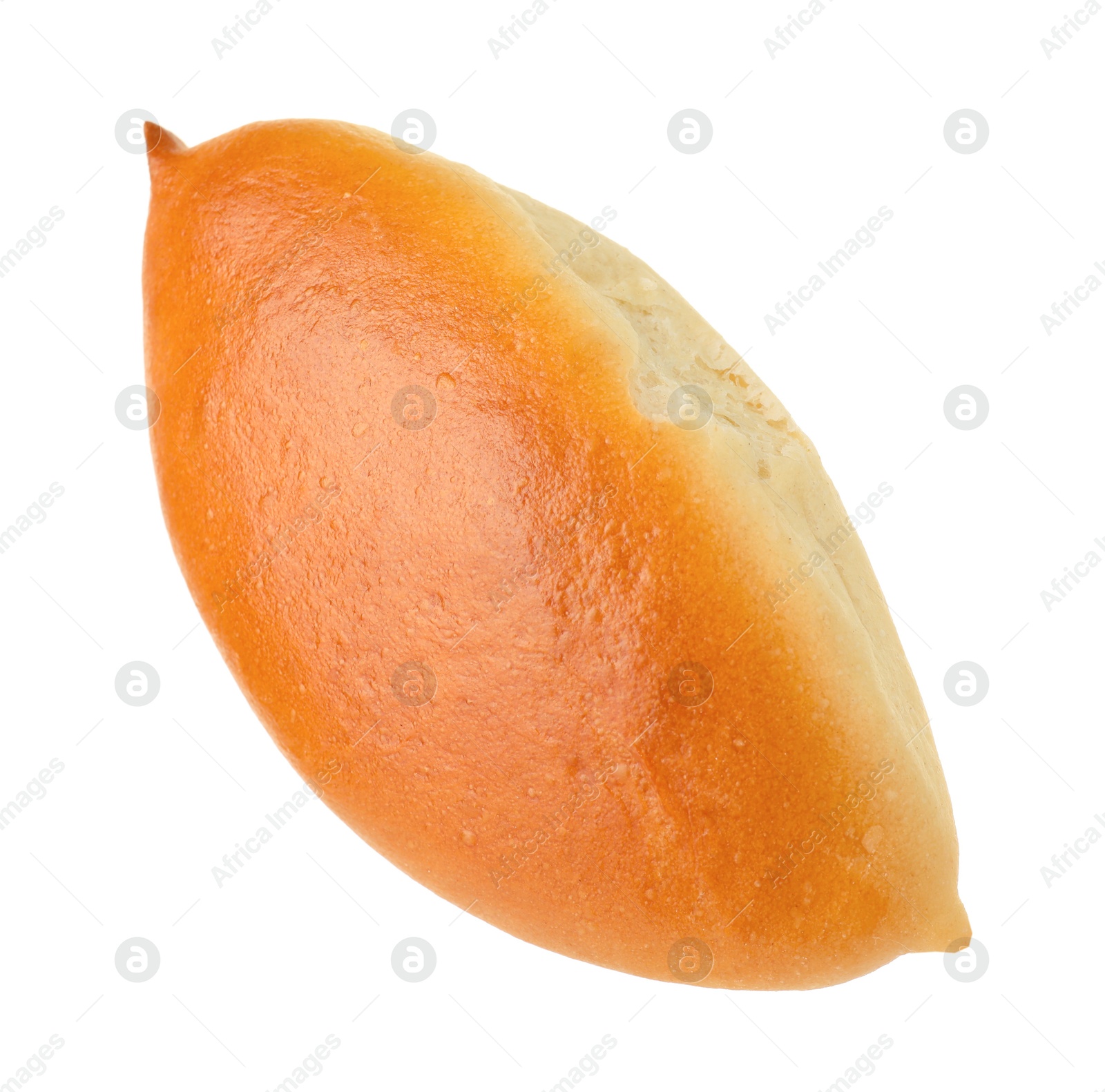 One tasty baked patty isolated on white Photo of One tasty baked patty isolated on white