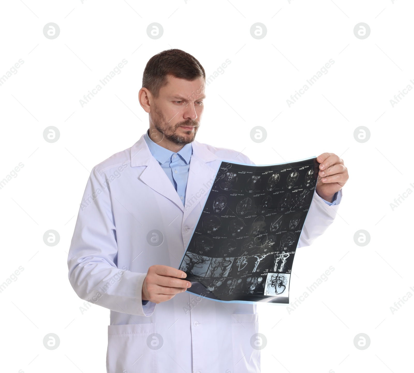 Doctor examining brain MRI scan in clinic on white background Photo of Doctor examining brain MRI scan in clinic on white background