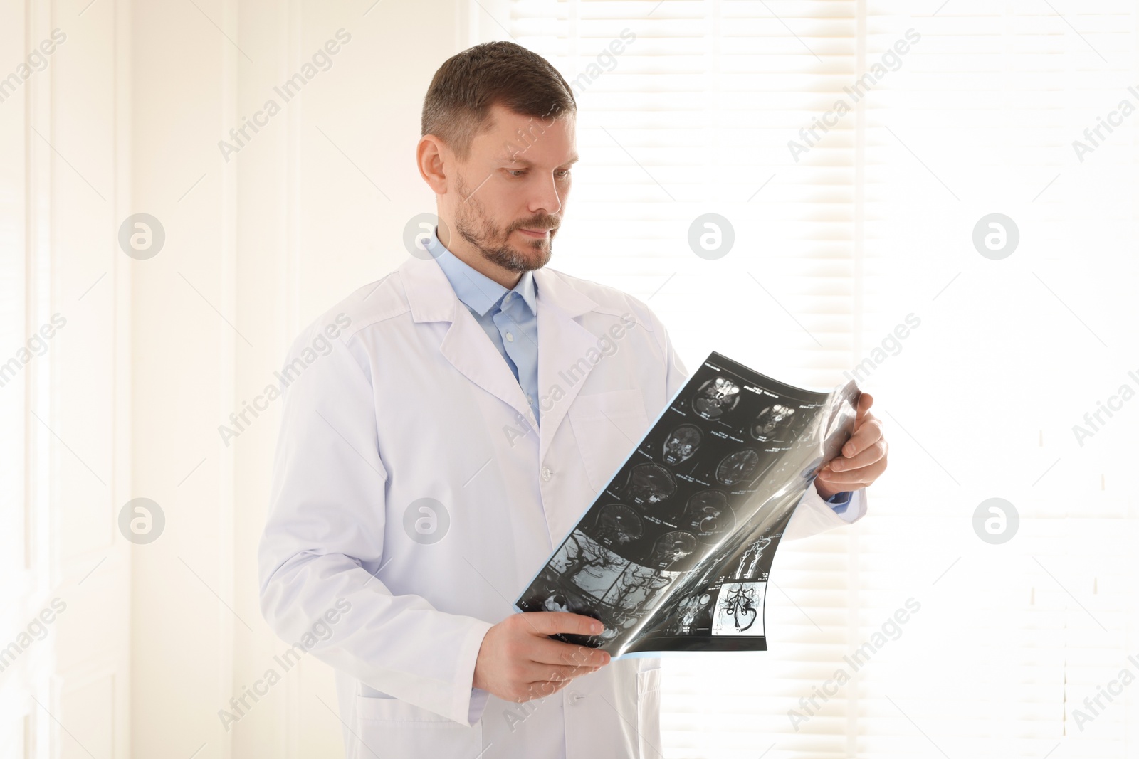 Doctor examining brain MRI scan in clinic Photo of Doctor examining brain MRI scan in clinic
