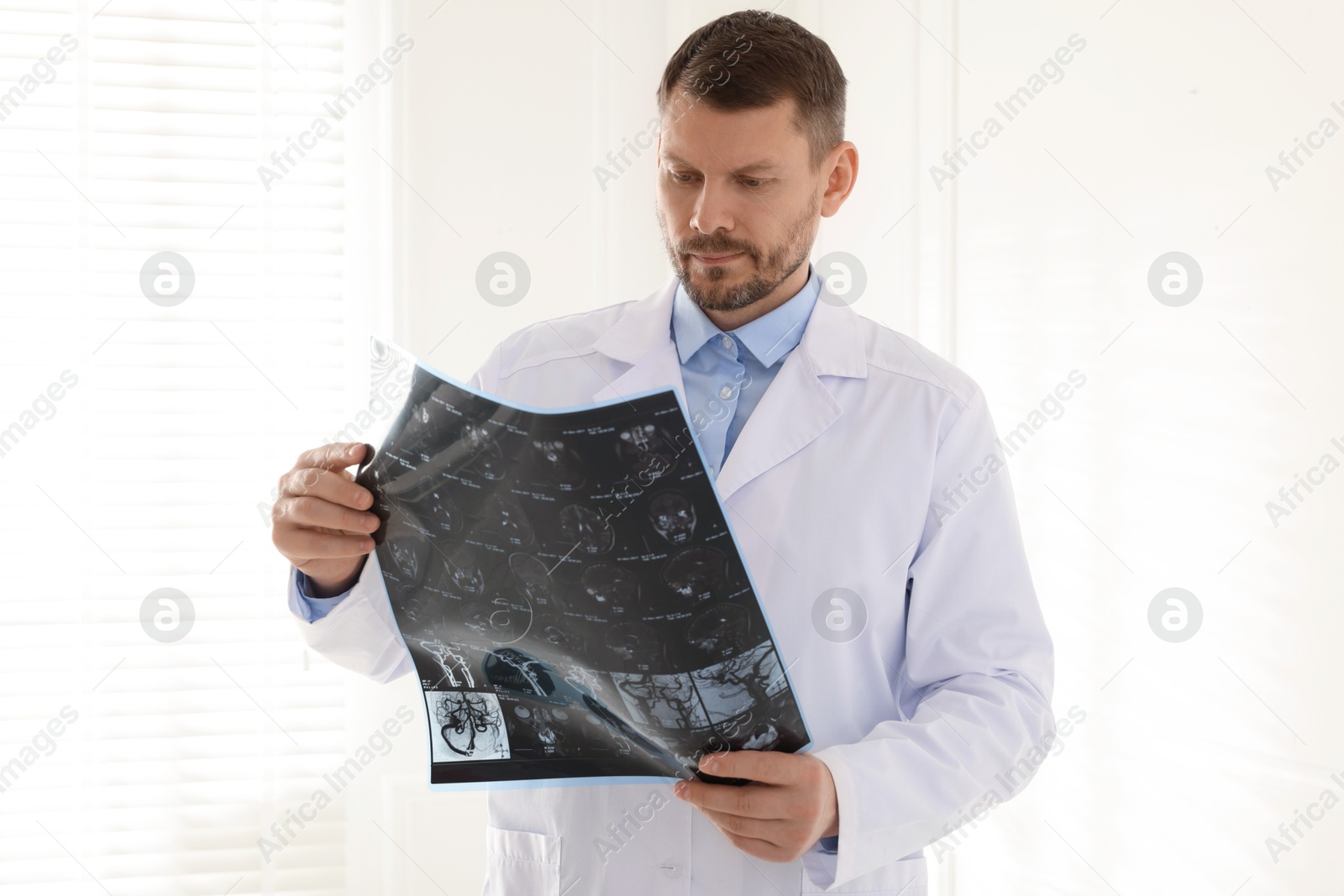 Doctor examining brain MRI scan in clinic Photo of Doctor examining brain MRI scan in clinic